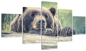 Tablou cu urs (125x70 cm), în 40 de alte dimensiuni noi