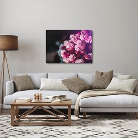 Tablou cu florile copacilor (70x50 cm)