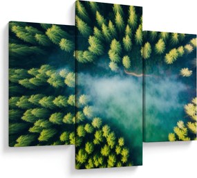Tablou - O pădure învăluită în ceață (90x60 cm)