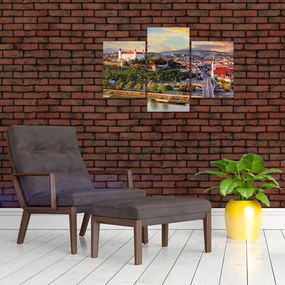 Tablou - Panorama bratislavei, Slovacia (90x60 cm)