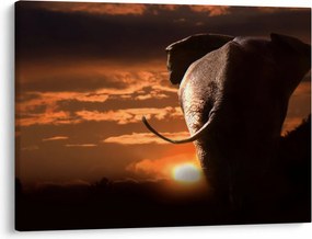 Tablou cu elefant (70x50 cm)