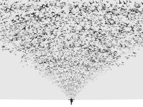 Fotografie The Dark Half, Hossein	Zare