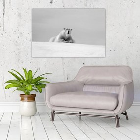 Tablou - Ursul polar (90x60 cm)