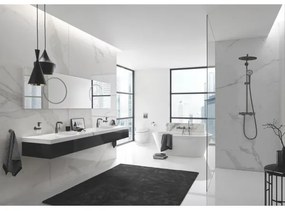 GROHE EUPHORIA SYSTEM 310 26075AL0 - Sistem de duș, 450 mm, grafit