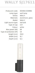 Aplica de perete Exterior, Protectie IP54, WALLY
