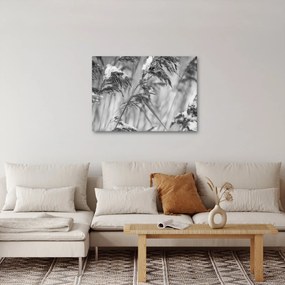 Tablou - Tei,alb-negru (70x50 cm)