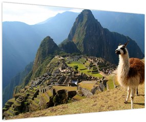 Tablou - Lama și Machu Picchu (90x60 cm)