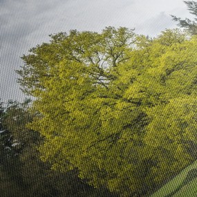 Tablou - Copac verde în câmp (150x105 cm)