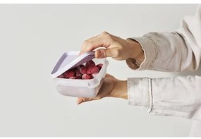 SmartStore Set de recipiente din plastic Freezer 2bucăți, lavandă, 1200 ml, 1200 ml