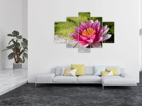 Tablou - Lotus (150x105 cm)