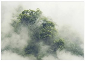 Fototapet - Foggy Amazon