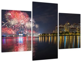 Tablou cu artificii in Singapur (90x60 cm)