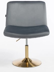 HR150N Scaun Grafit din Catifea cu Bază Aurie