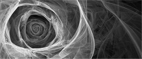 Tablou - Abstract trandafir negru și alb (120x50 cm)