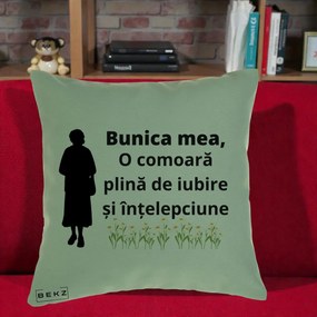 Cadou pentru Bunica - Perna Personalizata Bunica Mea Comoara Iubire Intelepciune Silueta cu Nepoata, 40x40 cm, Verde, Husa Detasabila, Perna Inclusa, BEKZ®