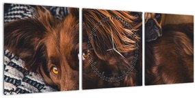 Tablou cu câini dormind (cu ceas) (90x30 cm)