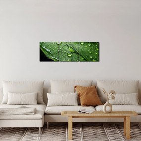 Tablou - Frunză după ploaie (cu ceas) (90x30 cm)