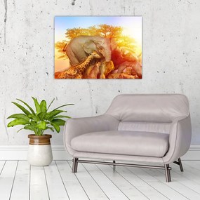 Tablou pe sticlă - Animale africane (70x50 cm)