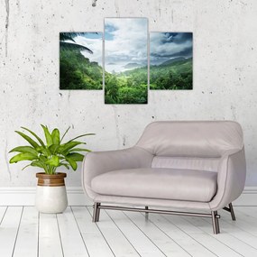 Tablou -Jungla din Seychelles (90x60 cm)
