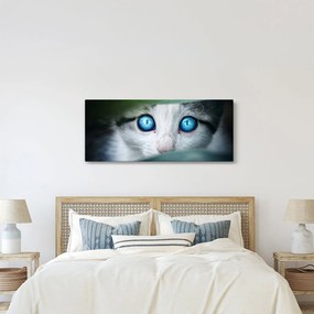 Tablou cu pisica (120x50 cm)