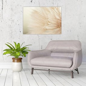 Tablou - Detaliu flori (70x50 cm)