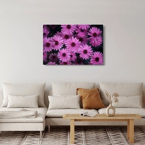 Tablou cu florile roz (90x60 cm)