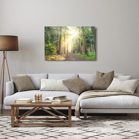 Tablou - Poteci în pădure (90x60 cm)