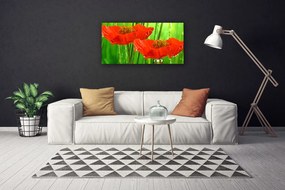 Tablou pe panza canvas Maci Floral Roșu Verde