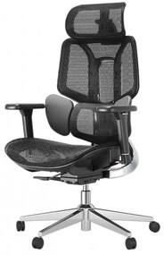 HBADA E3 AIR Scaun ergonomic, cu suport lombar dinamic pe 3 zone, tetieră reglabilă 3D, cotiere reglabile 3D, pivotant, Negru