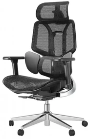 HBADA E3 AIR Scaun ergonomic, cu suport lombar dinamic pe 3 zone, tetieră reglabilă 3D, cotiere reglabile 3D, pivotant, Negru