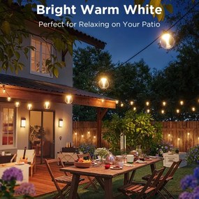 Instalație LED RGBICW decorativă dimabilă de exterior Govee LED/24W/230V IP67 2700-6500K Wi-Fi