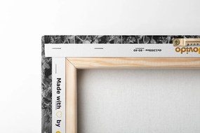 Tablou plante medicinale în design alb-negru