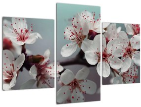 Tablou cu floare - roșie (90x60 cm)