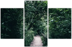 Tablou - Drumul prin pădure (90x60 cm)