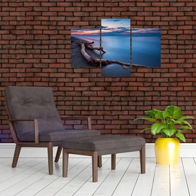 Tablou cu plaja în apus de soare (90x60 cm)