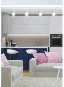 Spot TUBA 1xGU10/15W/230V gri/alb