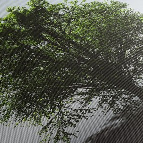 Tablou - Copacul singuratic (120x50 cm)