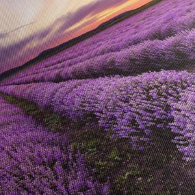 Tablou - Câmp de lavandă la apus de soare (70x50 cm)