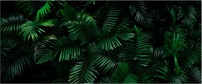 Tablou - Păpădii tropicale (120x50 cm)