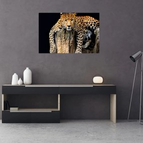 Tablou - Ghepard (90x60 cm)