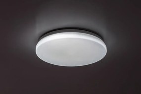 Plafoniera pentru exterior, Protectie IP44 Lowar D-41cm