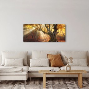 Tablou - Lumina de toamnă (120x50 cm)