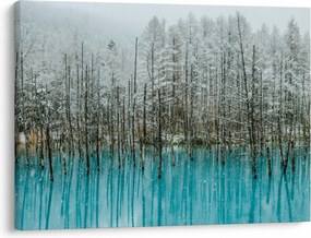 Tablou - Pescărie turcoaz, Biei, Japonia (70x50 cm)