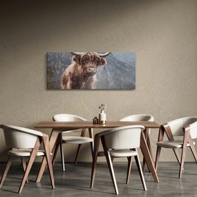 Tablou - Vaca Highlander (120x50 cm)