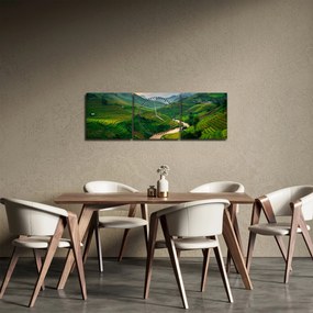 Tablou - Terase de orez II. (cu ceas) (90x30 cm)