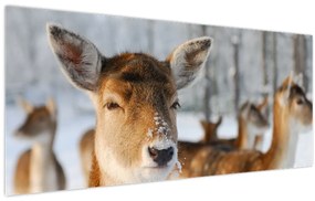 Tablou - Cerbi (120x50 cm)