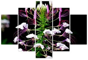 Tablou cu floare (150x105 cm)