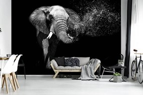 Fototapet - Elefant (254x184 cm)