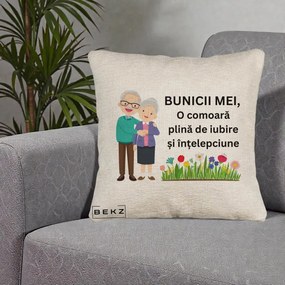 Cadou pentru Bunici - Perna Personalizata Bunicii Mei Comoara Cuplu Senior cu Flori Colorat, 40x40 cm, Bej Canapea, Husa Detasabila, Perna Inclusa, BEKZ®