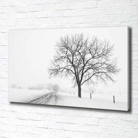 Print pe canvas Copac în timpul iernii
